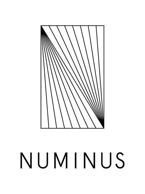 Numinus logo